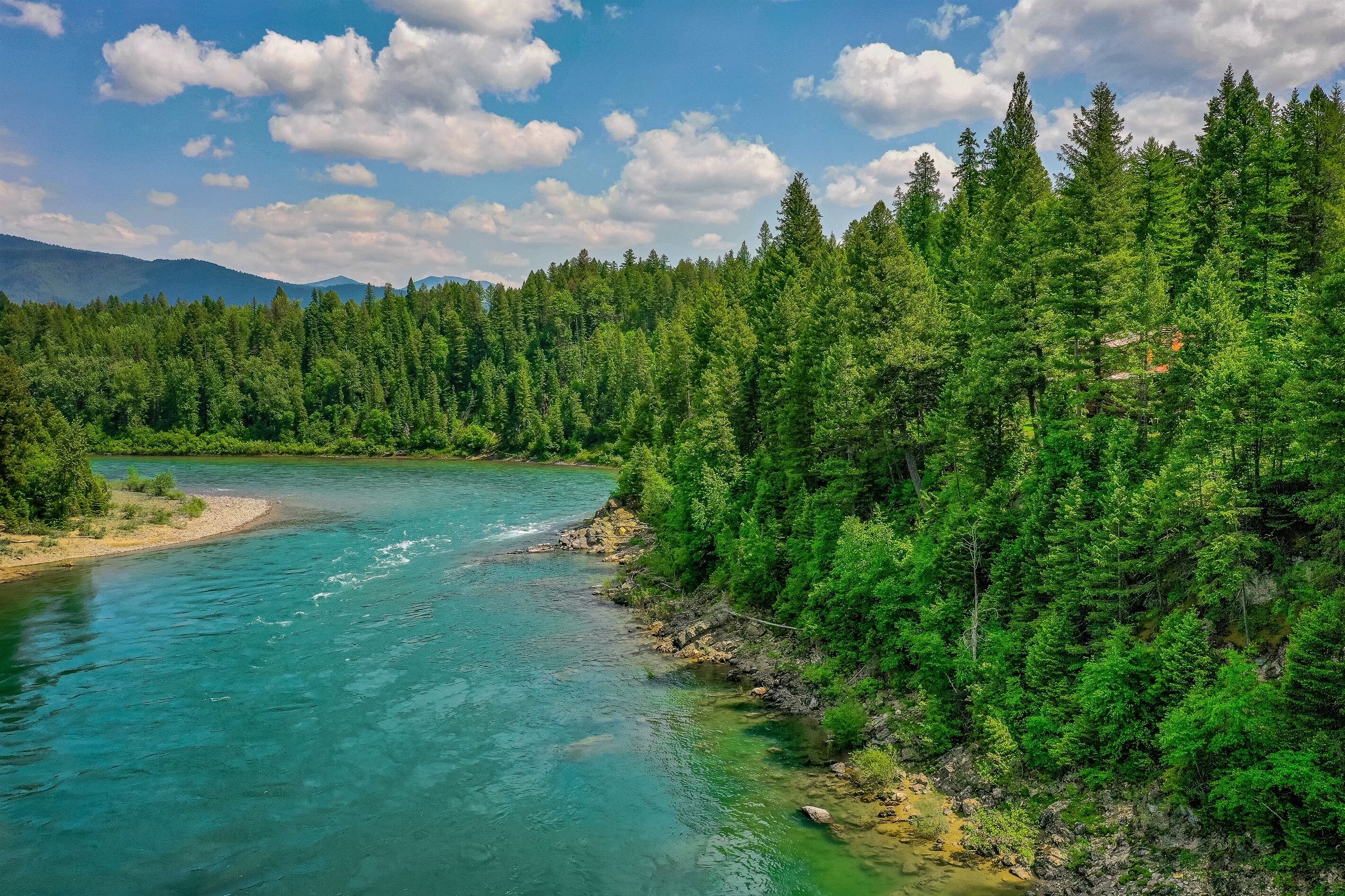A river flowing through a dense forest with a clear sky.