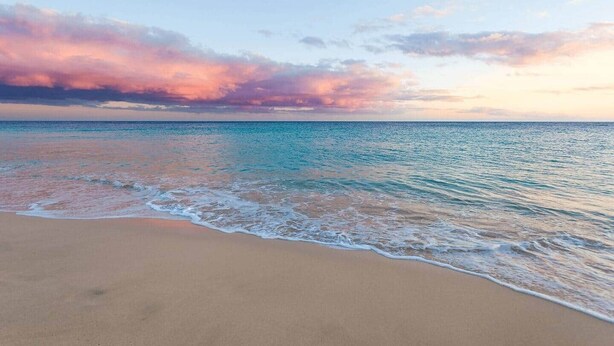 A beach with waves, a clear sky, and a sunset.