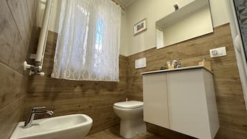 Shower, hair dryer, bidet, towels