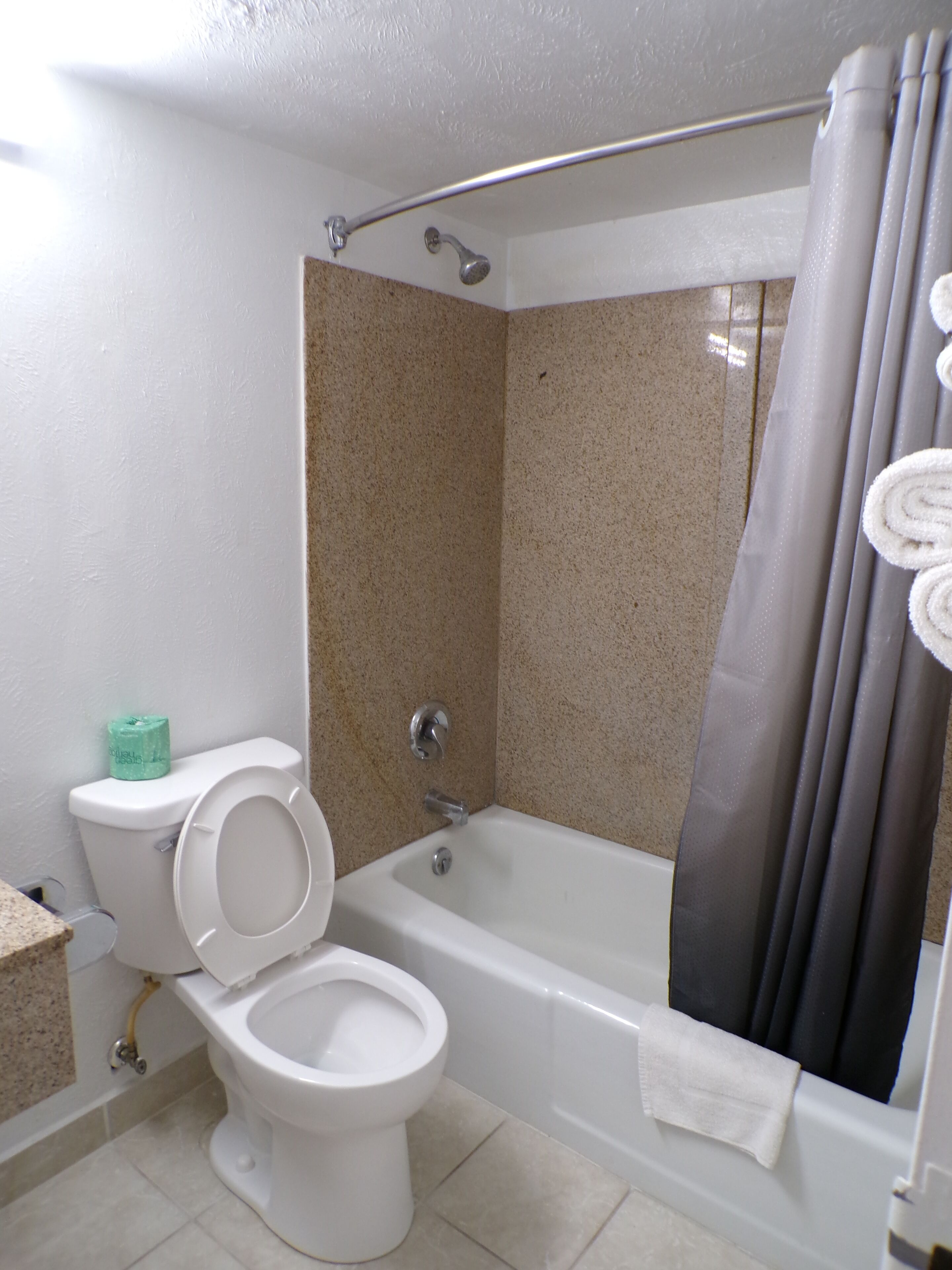A bathroom with a toilet, bathtub, and shower curtain.