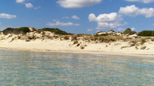 A beach with clear shallow water and dunes in the background.