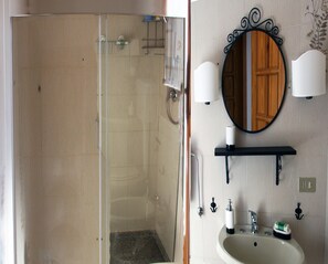 Shower, hair dryer, bidet, towels