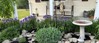 Outdoor Oasis Entire Home
