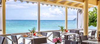 Tropical Garden Double