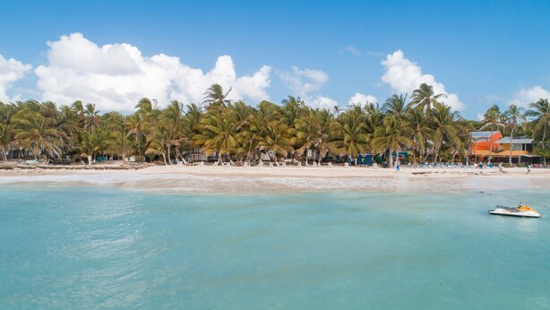 Una playa con aguas turquesas cristalinas, palmeras y una fila de sillas y sombrillas.