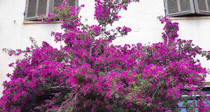 1e Étage de Villa Proche de la Mer, Dans un Jardin Planté Dorangers