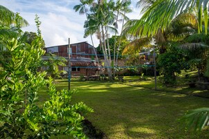 Un edificio rústico con techo de paja, rodeado de exuberante vegetación y palmeras.