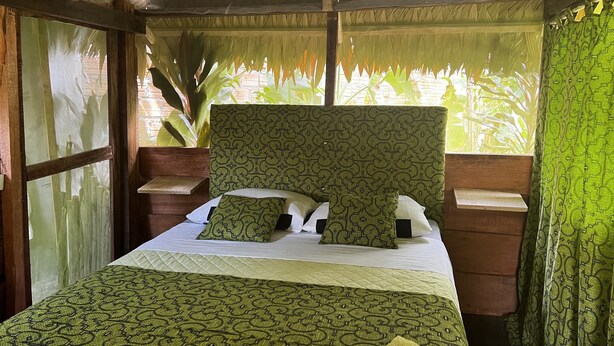 Una cama con dosel estampado y almohadas, mesitas de noche de madera y vista a la vegetación a través de una ventana.