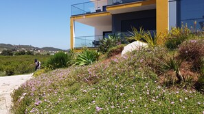 Um edifício moderno com fachada amarela e branca, rodeado por um jardim com flores roxas e plantas verdes.