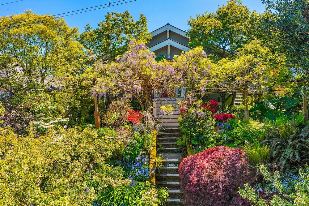 Enchanted Path to a Gardenscape