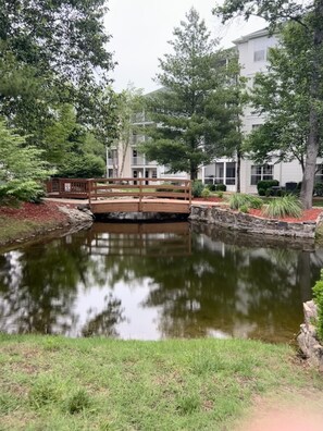 Property grounds - Walk in Family Friendly Condo at the Suites of Fall Creek. Sleeps 10 (Branson)