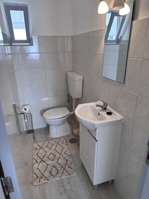 Compact bathroom with a pedestal sink, toilet, and large mirror.