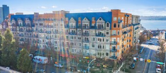 Belltown Perch explore like a local