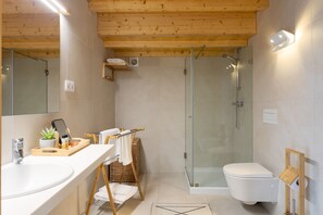 Shower, hair dryer, bidet, towels