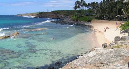 Kuau Surf 2.0 Maui North Shore Locally-Owned