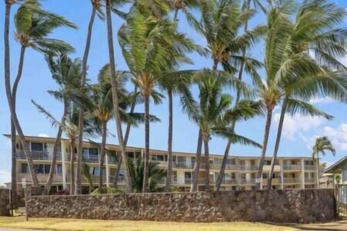 Kuau Surf 2.0 Maui North Shore Locally-Owned