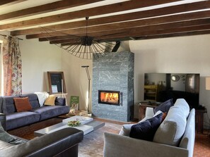 Televisión, chimenea, reproductor de DVD y tenis de mesa 