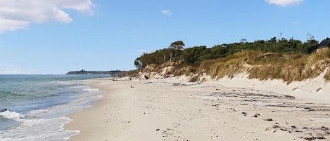 Beach nearby, fishing