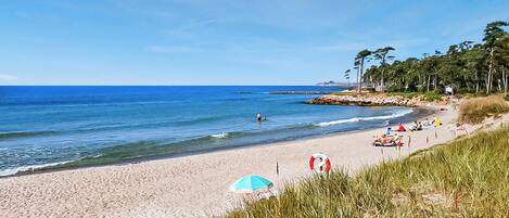 Beach nearby, fishing