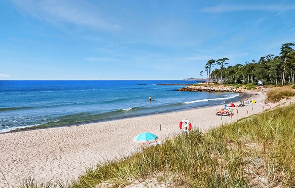 بالقرب من الشاطئ، صيد الأسماك