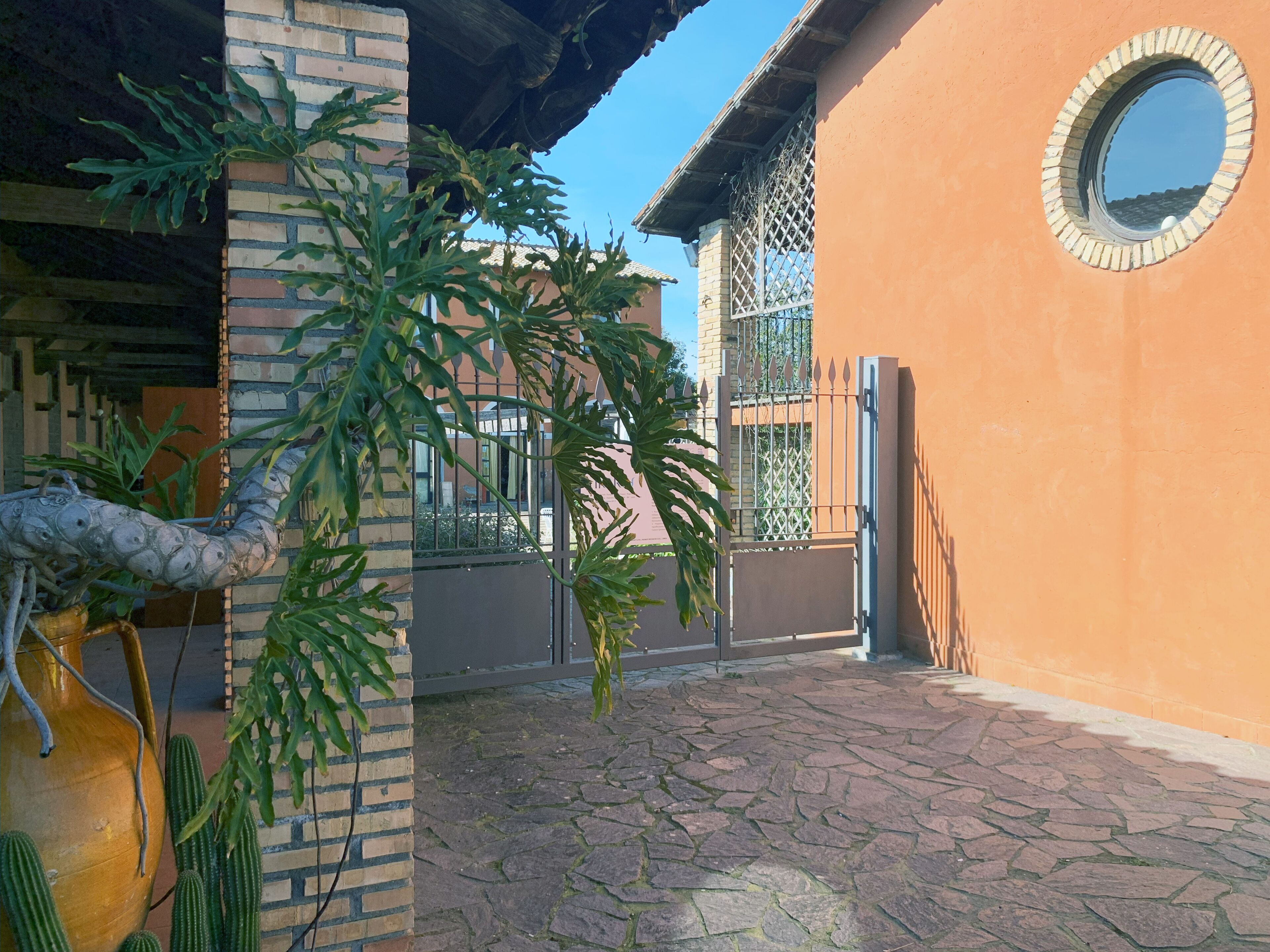 Une cour avec un cactus, un grand vase et un portail en métal.