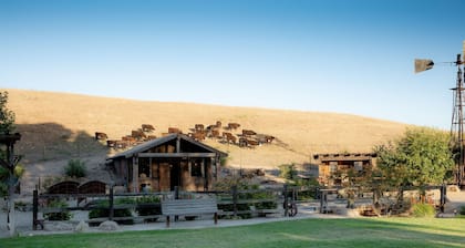 Paso Robles Ultimate Farm Stay! Country Oasis!! Very Unique!!!