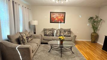 TV connectée, cheminée, livres