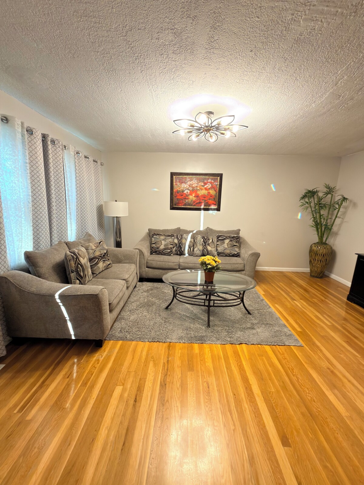 オーナーのプロフィール画像