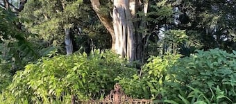 The Mezz @ Windaboo Split-level Retreat