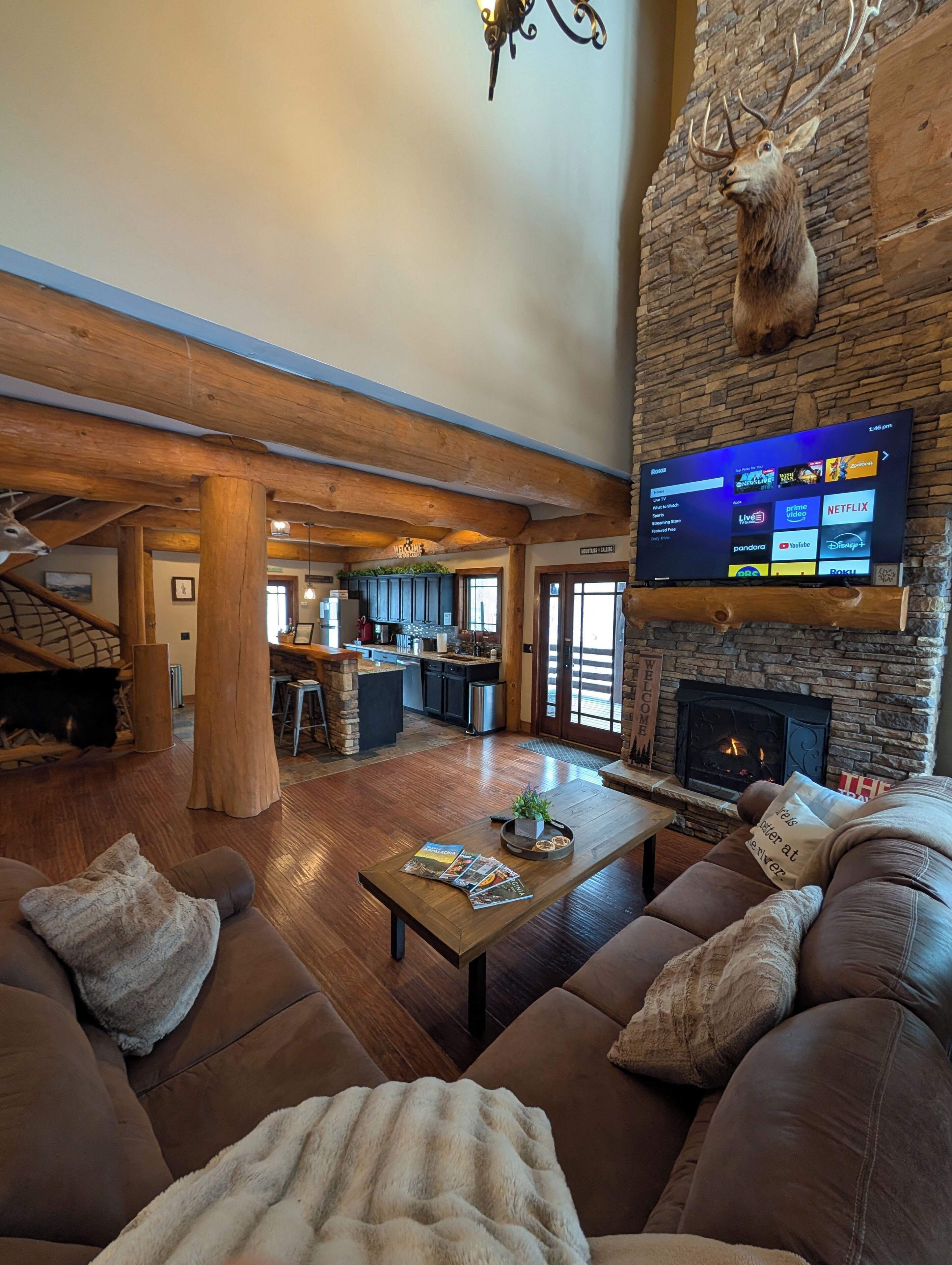 TV connectée, cheminée, lecteur de DVD, livres