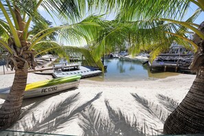 Enjoy serene waterfront views of boats moored along the shore, surrounded by palm trees.