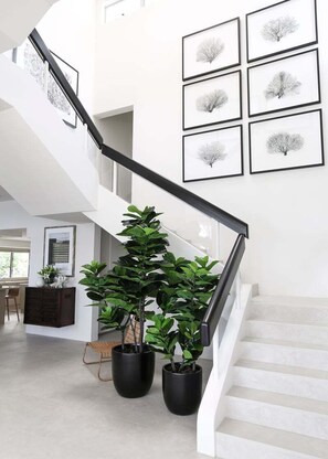 Escada com corrimão preto, cercada por plantas em vasos e adornada com impressões botânicas nas paredes.