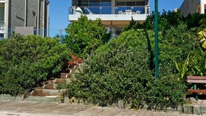 Un immeuble à plusieurs étages doté de balcons, entouré d’une végétation luxuriante et surplombant un ciel bleu azur.
