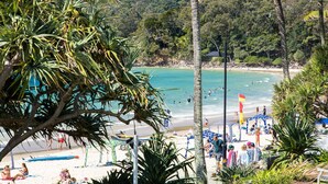Una playa con aguas turquesas cristalinas, palmeras y una bandera.