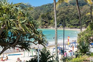 A beach with clear turquoise water, palm trees, and a flag on the shore. - Fairshore 22 - Main Beach Views (Noosa Heads)