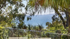 Une vue d’une zone côtière avec des arbres et une étendue d’eau.