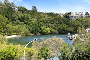A river surrounded by dense greenery and buildings in the background.