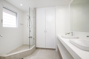 Combined shower/bathtub, hair dryer, towels, soap