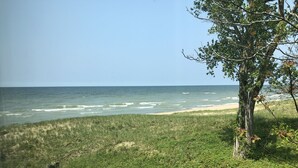 Un paisaje costero con una playa de arena y dunas cubiertas de hierba.