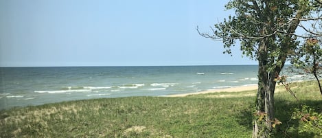 在海滩