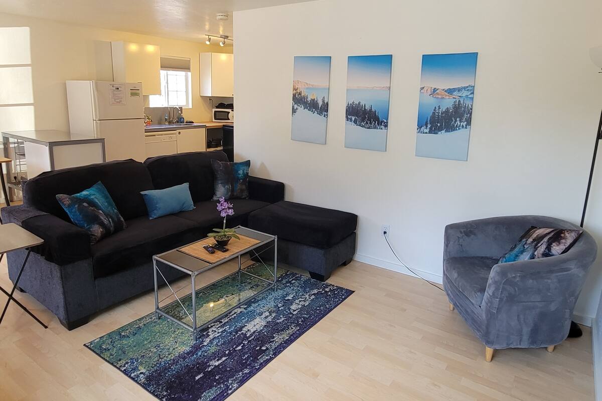 Una sala de estar moderna con un sofá modular negro, una mesita de centro con una planta y un sillón gris. Se ve una cocina en el fondo, con gabinetes blancos y un microondas.