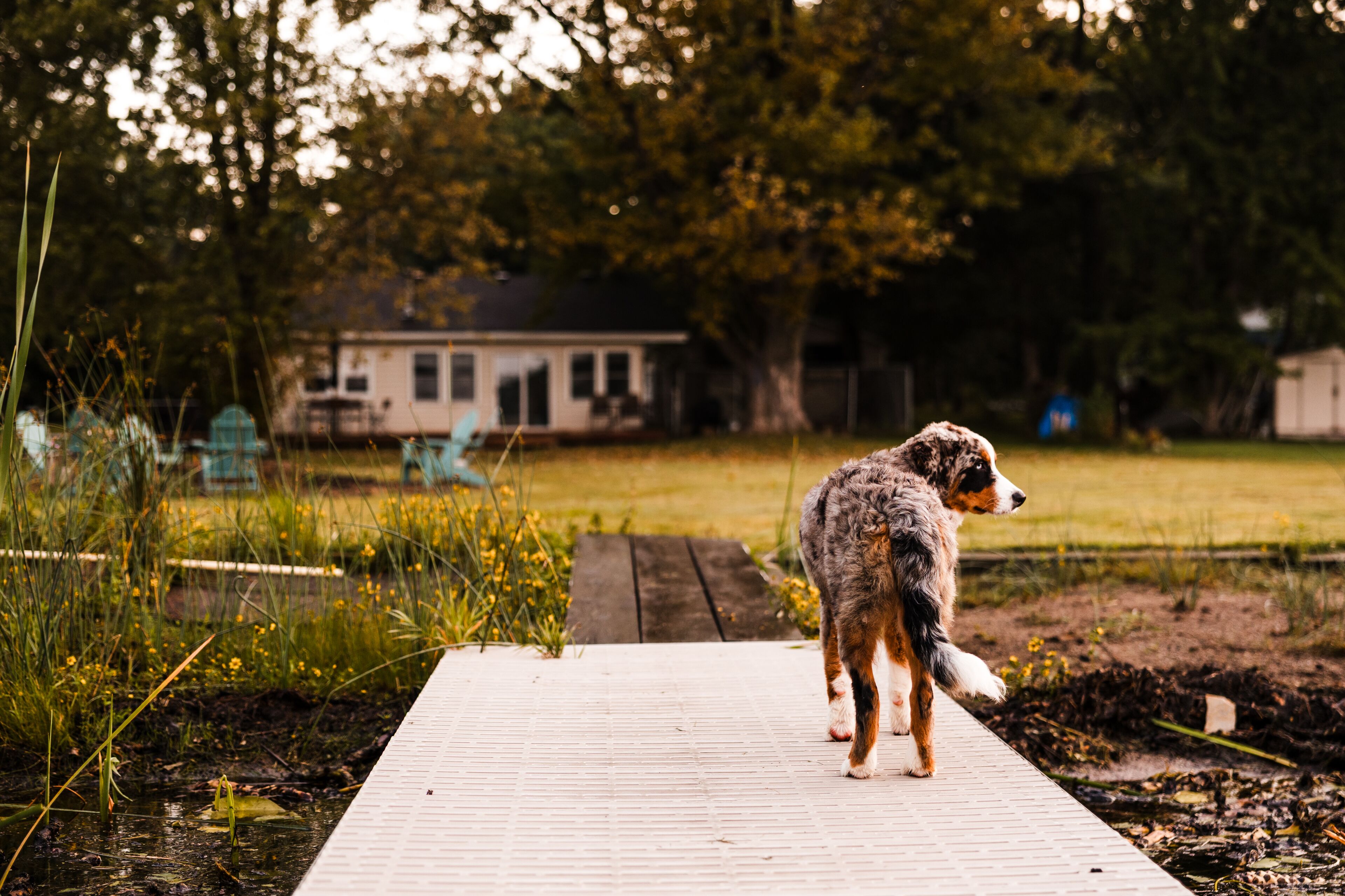 Áreas de la propiedad