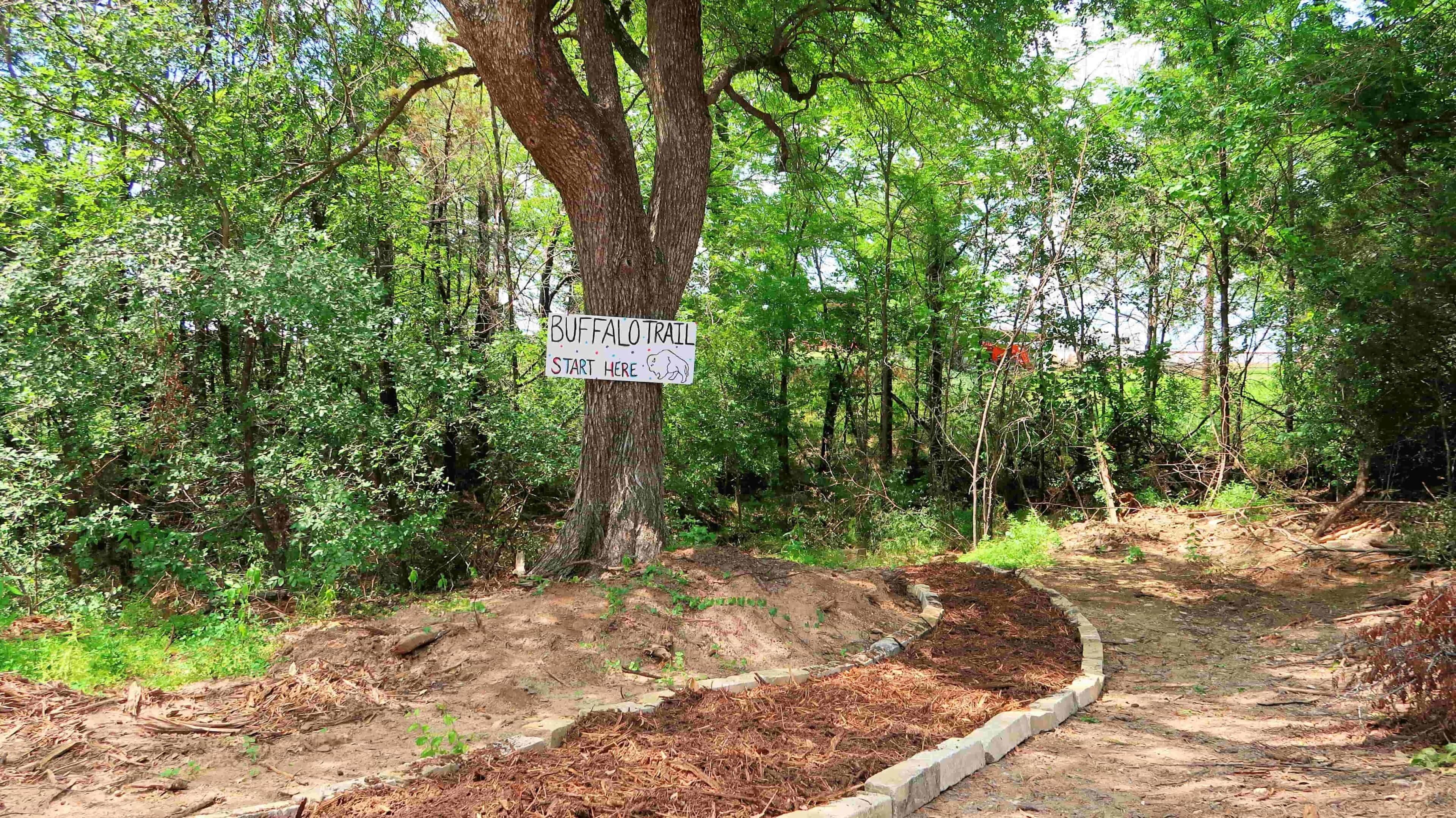Un cartel señala el inicio del Sendero Build-Falo en un área boscosa.