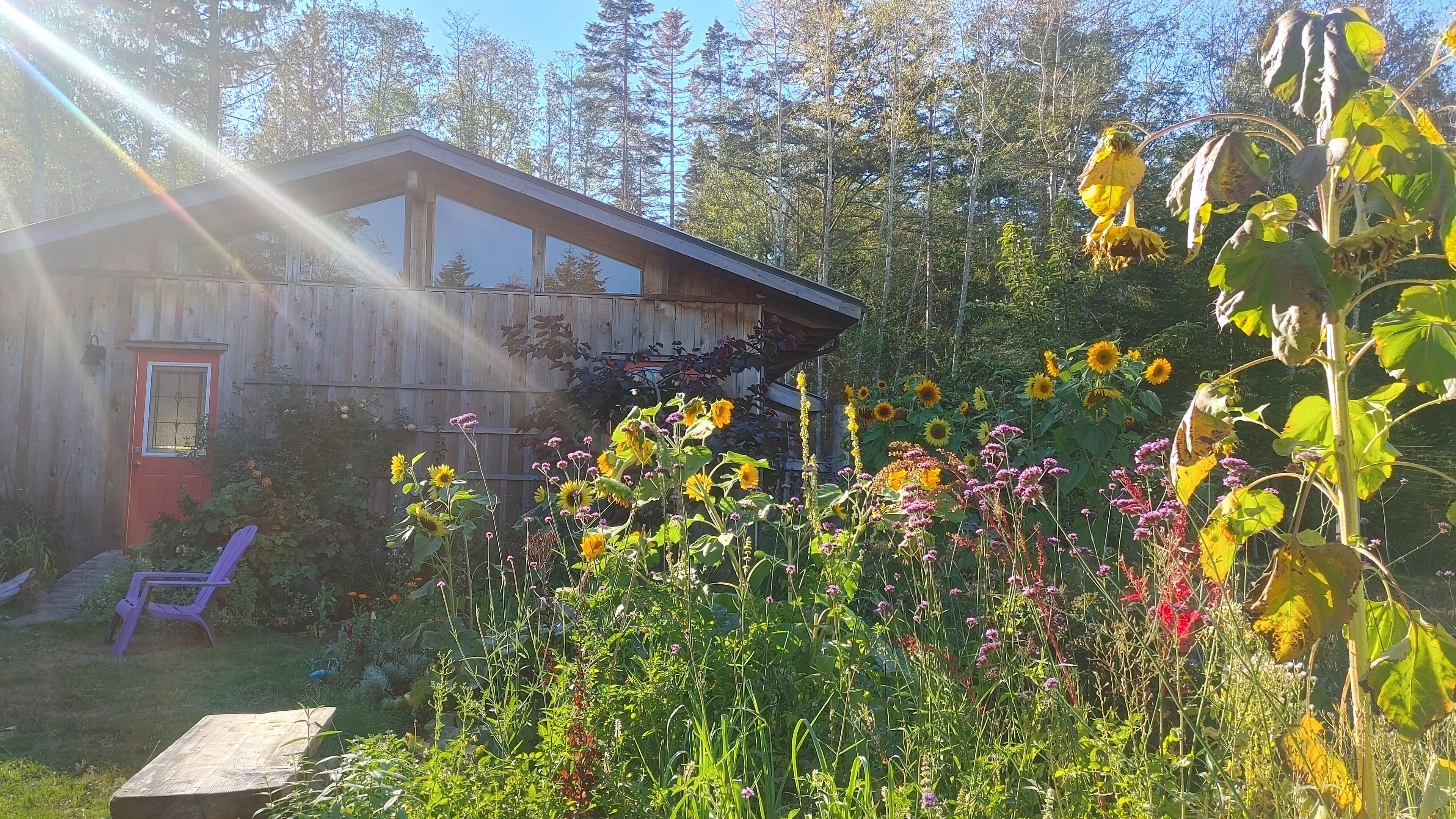 Enceinte de l’hébergement