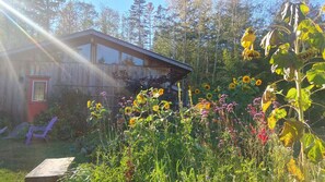 Terrein van de accommodatie