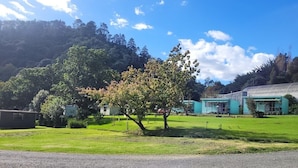 A grassy area with a tree, a gravel path, and a building with a blue roof.