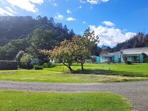 Property grounds - Dickson Holiday Park (Thames)