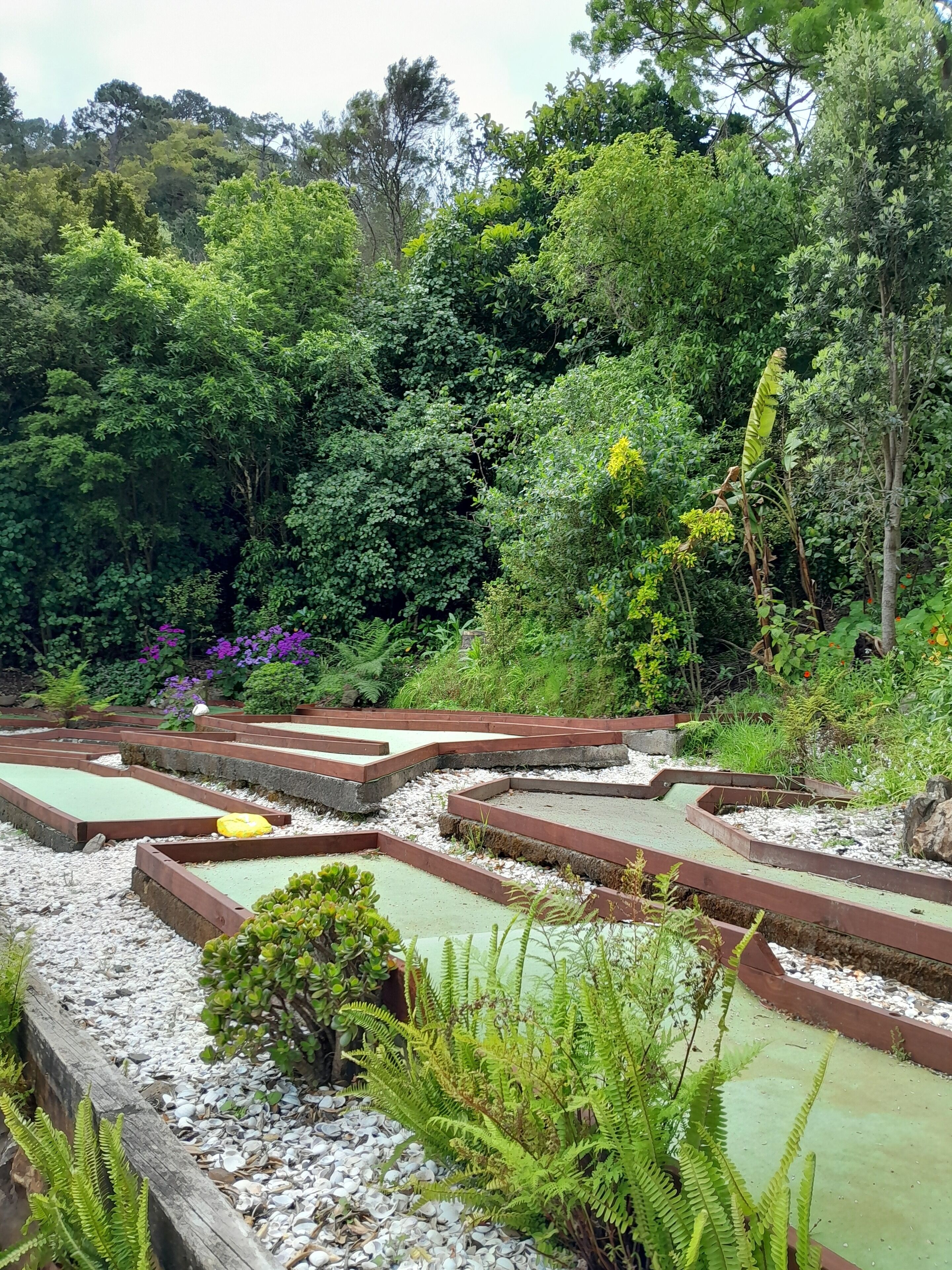 Terraced garden beds with gravel paths and lush greenery.