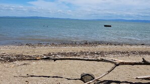 A beach with a clear sky, calm water, and distant mountains.