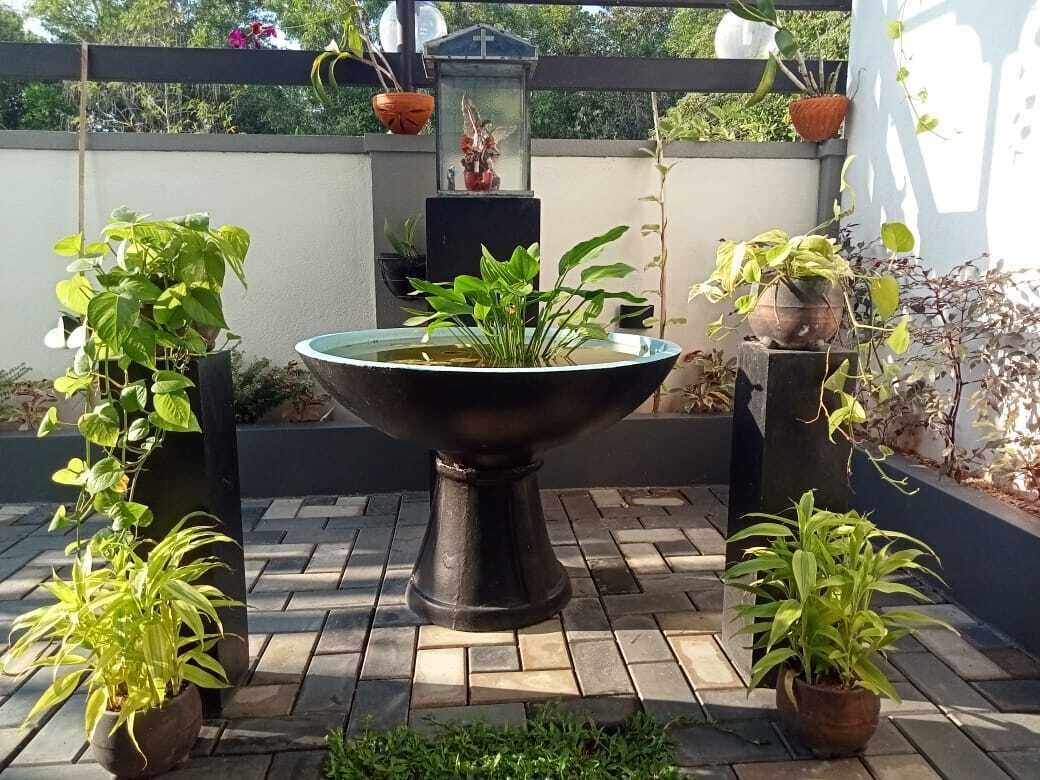 A garden area with a central water feature surrounded by potted plants.
